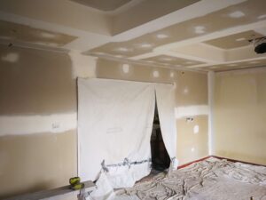 Plastering Services